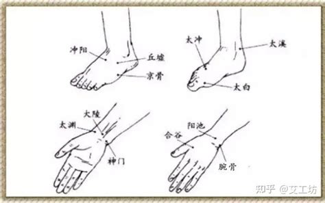 源穴|原穴:原穴圖示,原穴概述,原穴定義,關於源流,原穴與病理,動力,穴位…